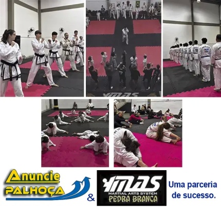 Imagem principal da fachada da empresa MAS MARTIAL ARTS SYSTEM